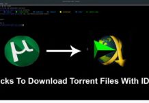 download torrent files with IDM