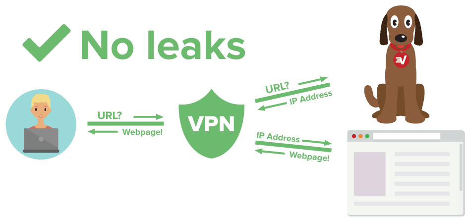dns no leaks
