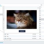 recover your deleted files