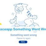 Fix Face App something went wrong error