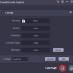 Format in tuneskit audio capture