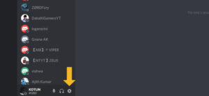 Discord Settings