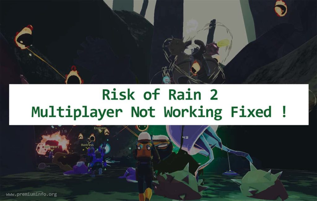 risk of rain 2 multiplayer not working pc xbox ps4